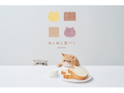 ねこの形の高級食パン専門店「ねこねこ食パン」が2020年7月23日(木)より長野県に登場！