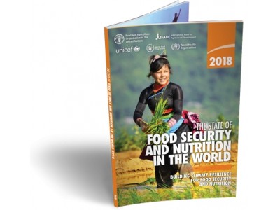 9/21「世界の食料安全保障と栄養の現状 2018」発行記念セミナーのご案内