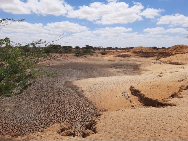 FAO報告書:17億人が土地の劣化による収量減少を経験