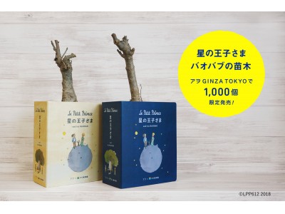 「星の王子さま」 バオバブの苗木 「アヲ GINZA TOKYO」で限定発売！