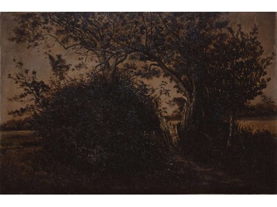 【島根県立美術館】コレクション展 第1期 「近代洋画名品選 ―島根の画家たちとともに」開催のお知らせ