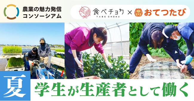 おてつたび「#食べチョクおてつたび “夏”」開催。学生が生産者として働く機会を提供