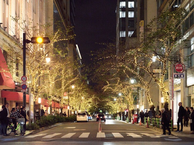 プレスリリース「八重洲・日本橋エリアを美しく灯すイルミネーション「TOKYO ILLUMILIA 2025-2026」11月6日から開催」のイメージ画像