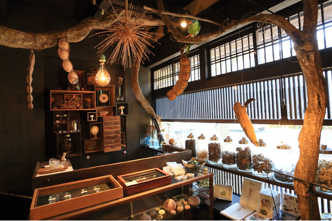 SFT GALLERY（国立新美術館内 スーベニアフロムトーキョー）では10年ぶりとなるウサギノネドコのエキシビジョン「ウサギノネドコの世界」を2025年5月21日(水)から開催