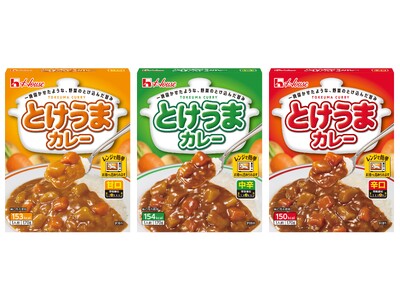 一晩寝かせたような、野菜のとけ込んだ旨みとコクのあるカレーを楽しめる！1食で満足感のある具材入りレトルト...