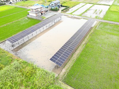 ソーラーシェアリングのスマートブルー、水田の新たなビジネスモデル「マコモダケ」圃場を新たにオープン