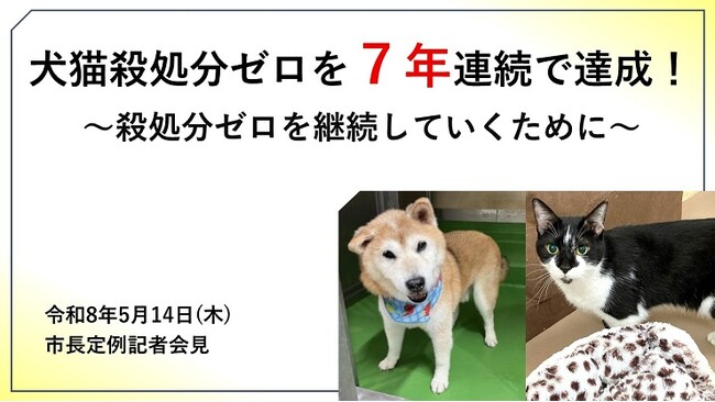 【奈良市役所】犬猫殺処分ゼロを7年連続で達成しました【市長会見】（令和8年5月14日発表）