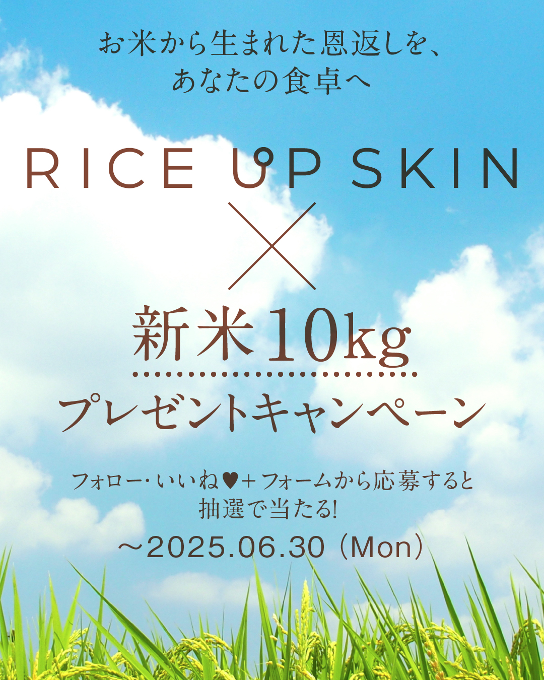 「RICE UP SKIN（ライスアップスキン）」スペシャルなプレゼントキャンペーンが開催中！