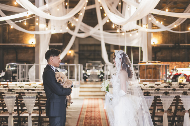 【大阪・AKARENGA WEDDING】愛犬と一緒のウエディングをご検討の方必見!!期間限定でペットシッター無料手配キャンペーンを開始。