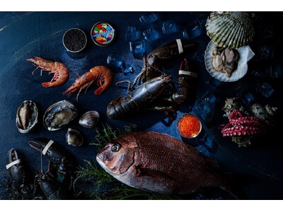 海と時が紡ぐフレンチ - 「大阪赤レンガ シーフードフレンチ LA VIE1923」記念日を祝う特別な夜を演出する新スポットが大阪・赤レンガ倉庫にリブランドオープン