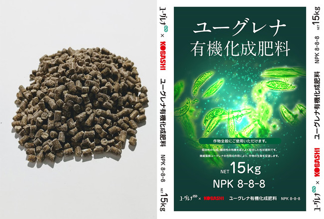 微細藻類ユーグレナを肥料として利用することで収穫量の増加や収穫後の作物鮮度の低下を抑制する可能性を示唆