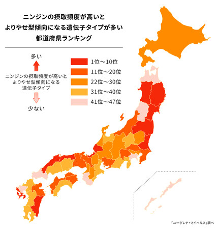 ニンジンの摂取頻度が高いとよりやせ型傾向になる遺伝子タイプが多い都道府県ランキング発表！　1位 鳥取県、2位 宮崎県、3位 島根県