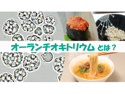 研究者に聞く！ユーグレナ社の新素材「オーランチオキトリウム」とは？DHAが豊富で魚介風味が特徴 プラント...