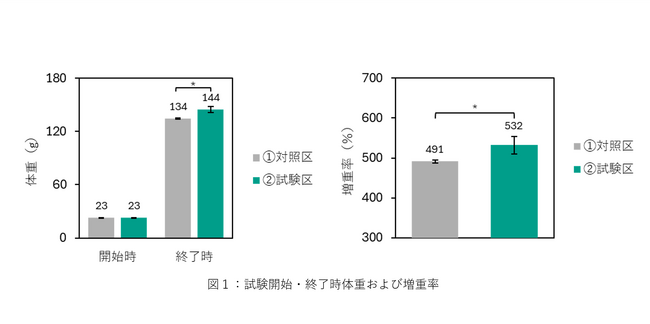 ユーグレナ配合飼料の給与によりカンパチ稚魚の成長と自然免疫能が向上する可能性を確認しました