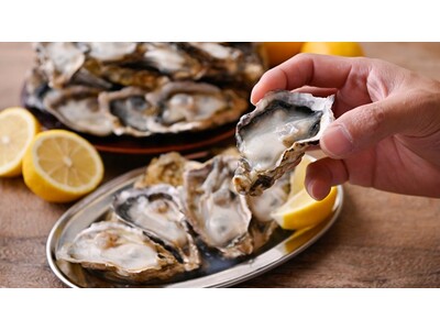【生牡蠣放題！牡蠣づくしフェア】全品食べ放題＆飲み放題居酒屋『肉ときどきレモンサワー。』にて11/17(月)開始！