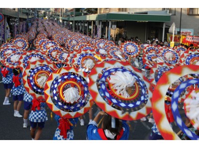 過去最高120連、4,000人以上の踊り子が一斉に踊る姿は圧巻ーー第54回