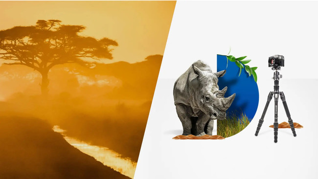 BENROlCzooV[YAEghAɍœKȃJ[{OroI