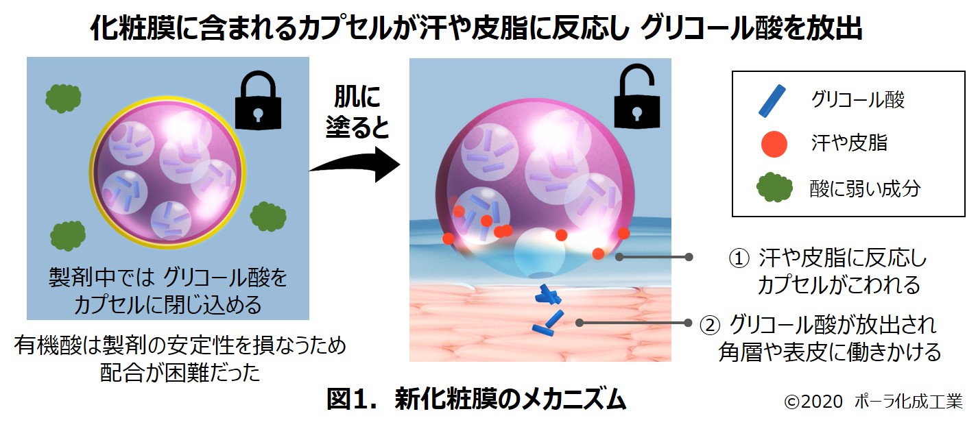汗や皮脂に反応し肌を改善する成分を放出する化粧膜