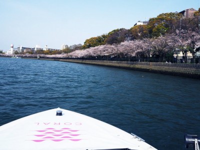 関西初の海の駅併設・水上レストラン「CORAL KITCHEN at sea」が提案する　水上から桜を楽しむ！よくばりクルージングプラン