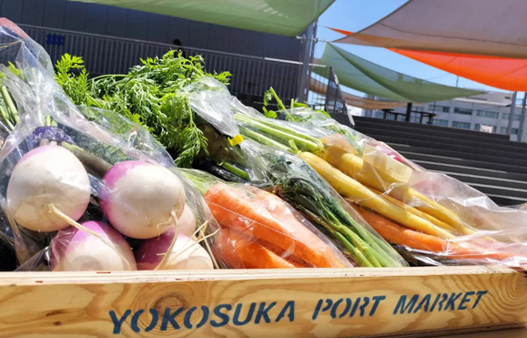 三浦半島最大級「横須賀朝市Morning Market」　いちご よこすかポートマーケットで毎月開催決定！（初回5月24日、25日）