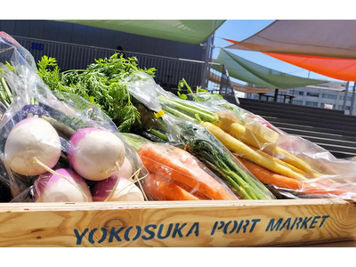 三浦半島最大級「横須賀朝市Morning Market」 いちご よこすかポートマーケットで毎月開催決定...