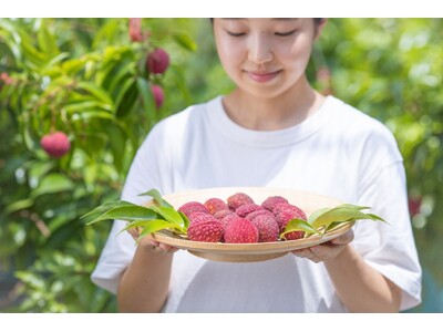 宮崎発の国産有機ライチ＆マンゴー　いちごポタジェ、完熟果実の夏ギフトお得な先行予約を開始