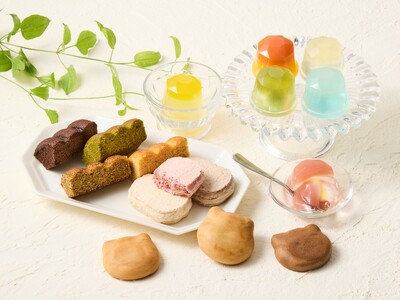 鎌倉の海のきらめきを、ひとさじのゼリーに。西鎌倉の洋菓子店「西鎌倉レ・シュー」より春夏コレクション登場。4月20日、新作「西鎌倉みなもゼリー」を発表