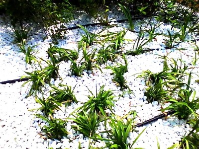 ゲリラ豪雨と猛暑に強く、子どもやペットにやさしいまちへ "雨を貯めて冷やす地面"が2日間限定で登場 ～10月９日（金）・10日（土）開催「KANDAフェス2026」にて～