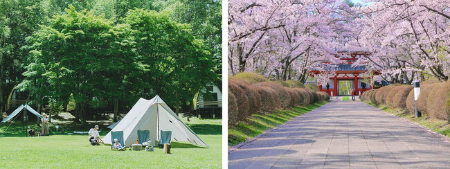 TINY GARDEN 蓼科 | 4月&ゴールデンウィークイベント情報