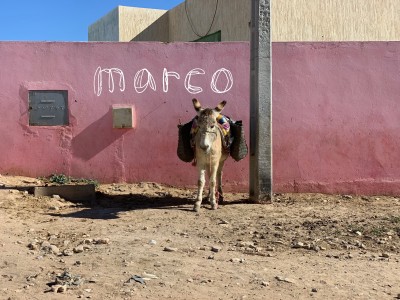 関西初のモロッコのラグ展 by marcoを開催！！　