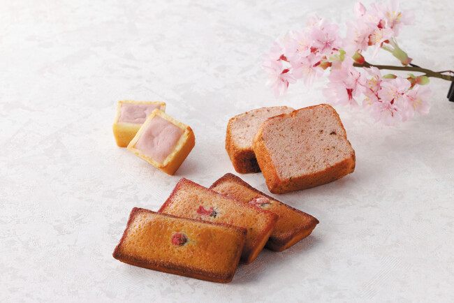 春を味わう“さくら”スイーツ各種が期間限定で登場！「フィナンシェ」「ベイクドチーズケーキ」「ブランデーケーキ」