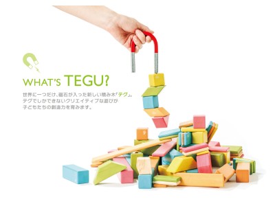 世界初！磁石が入った積み木「tegu(テグ)」9月1日発売。