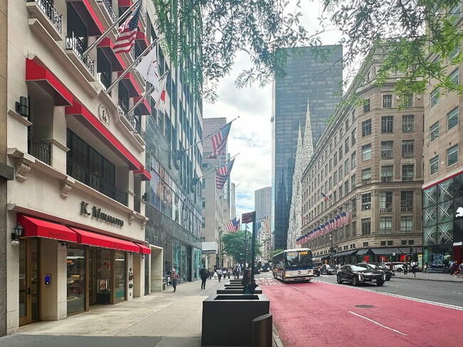 源 吉兆庵の職人が作る工芸菓子がニューヨーク5番街へ