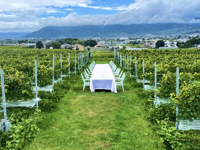 日本一のワイン産地の歴史と文化を食で楽しむ新たな体験「Wine & Food Festival Yamanashi」