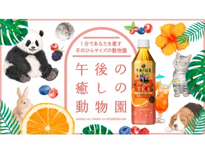 キリンビバレッジ史上初！スマートフォンで遊べる「午後の癒しの動物園」開園！「午後の紅茶 Fruit×Fruit TEA オレンジ＆ベリー」新発売