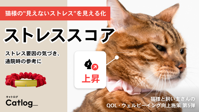猫様の“見えないストレス”を見える化するストレススコア機能がスマート猫首輪Catlog(R)（キャトログ）へ追加！