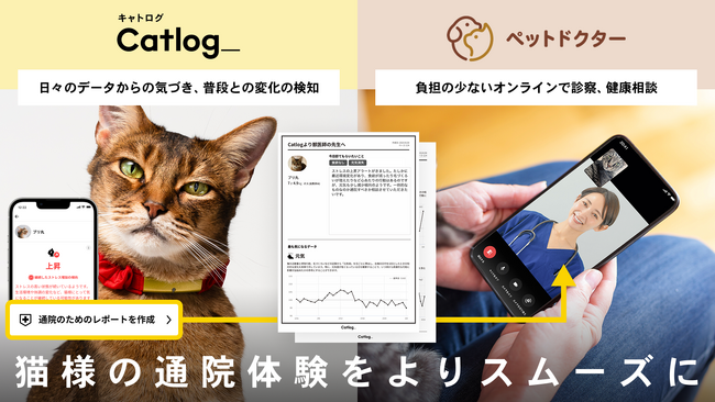 猫Love様　リクエストのお品専用です。 ねこねこ展22にむけて 7/5から名古屋のq.e.d.Store&cafeで開催の