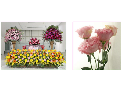 大切な方に感謝の気持ちを伝えませんか？フラワーバレンタイン初開催