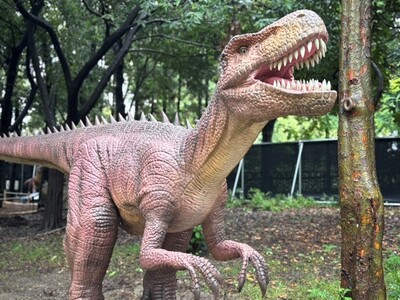 ABURAYAMA FUKUOKA「ダイナソーアドベンチャーツアー」が誕生！！【JR九州リージョナルデザイン】