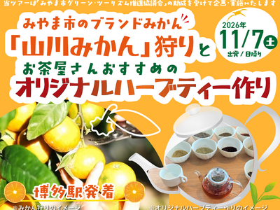 みやま市で楽しむ「山川みかん」狩りとハーブティー作りツアーを発売中！