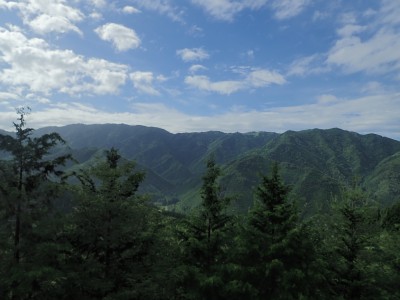 【11/12-13】岡山県西粟倉村で森林経営管理法の活用を目指す「森林管理の大合宿」を開催
