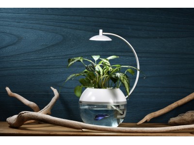 新商品】間接照明に「生命」を。植物と魚を育成できるLEDライト