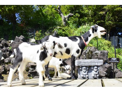 動物のおやつや飼料でフードロス削減！　伊豆シャボテン動物公園で2024年9月28日（土）～ イベント第一...