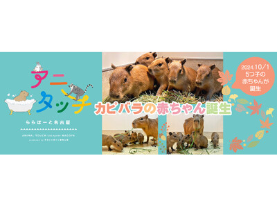 屋内型ふれあい動物園「アニタッチ ららぽーと名古屋みなとアクルス」カピバラの5つ子の赤ちゃんが誕生！