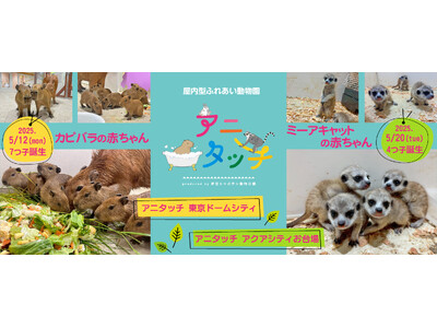 屋内型ふれあい動物園「アニタッチ」で動物の赤ちゃんが誕生！
