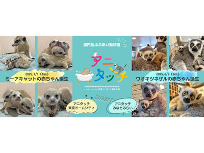 屋内型ふれあい動物園「アニタッチ」でミーアキャットとワオキツネザルの赤ちゃんが誕生！