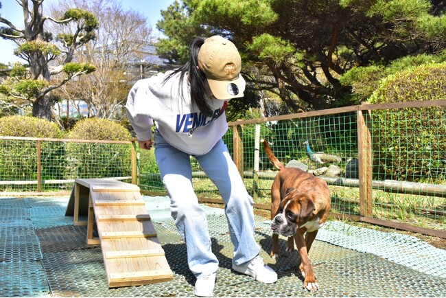伊豆シャボテン動物公園グループは、わんちゃん大歓迎♪ 『WELCOMEわんちゃんin the summer』
