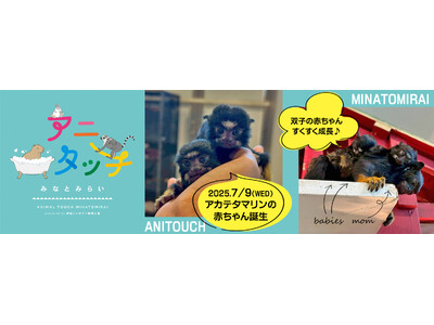 屋内型ふれあい動物園「アニタッチ みなとみらい」アカテタマリンの赤ちゃんが誕生！