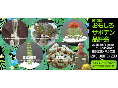 お気に入りのサボテンを選んで投票しよう♪「第12回 おもしろサボテン品評会」