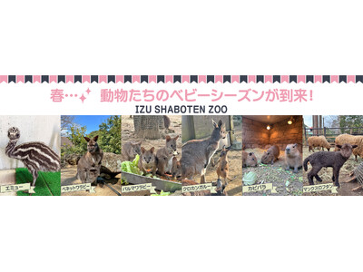 春は動物たちのベビーラッシュの季節！伊豆シャボテン動物公園で、エミュー・ワラビー・カンガルー・カピバラ・...